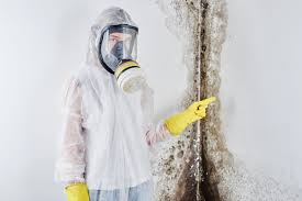 Best Residential Mold Inspection & Testing in Maili, HI